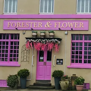 The Forester And Flower Bath