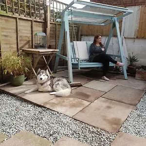 The Garden Room, Pets, Fridge Tv United Kingdom